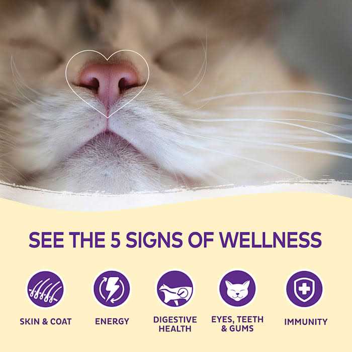 Wellness Kittles Cat Treats - Nail Gallerys