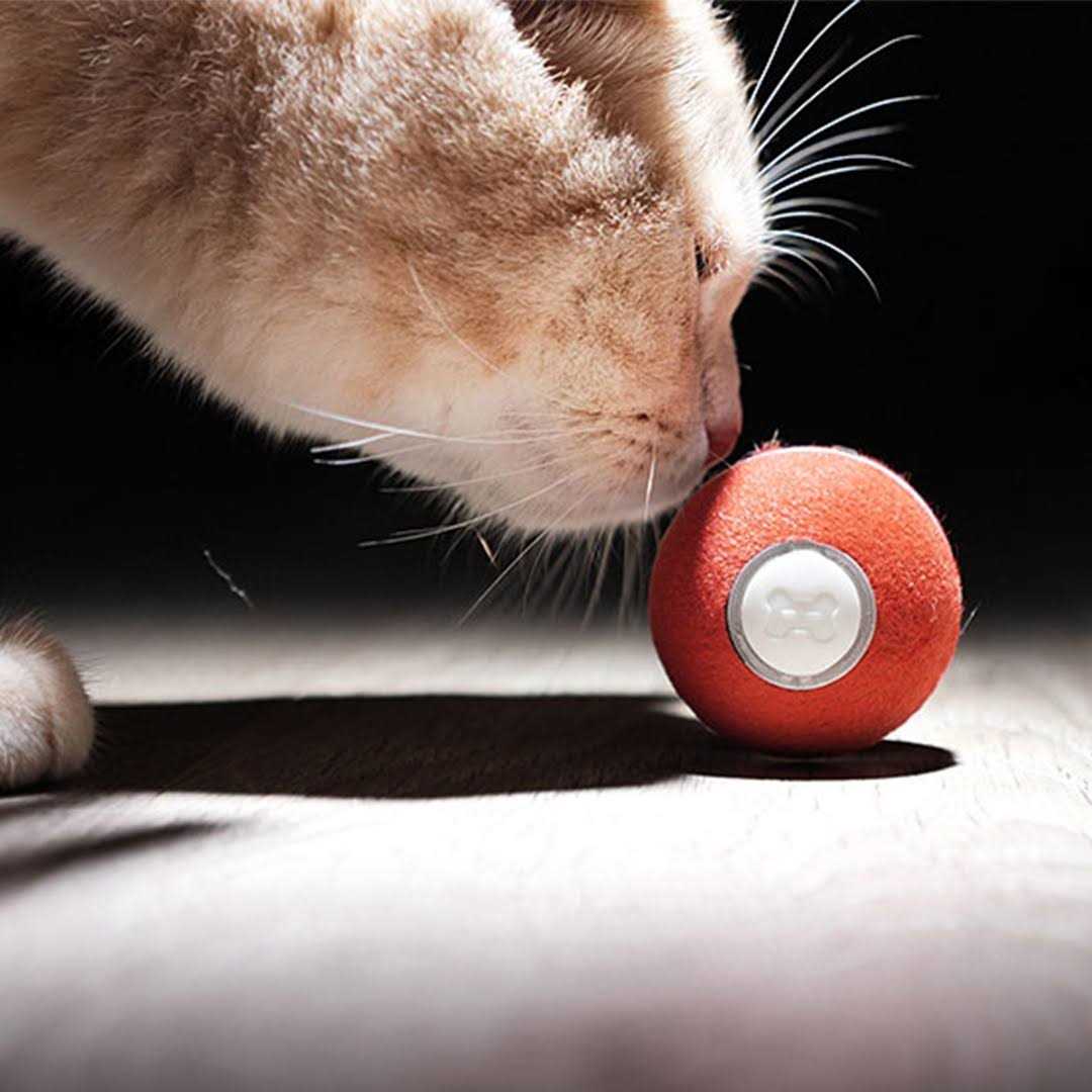 Cheerble Ball Smart interactive Cat Toy 1.7 Inch - Nail Gallerys