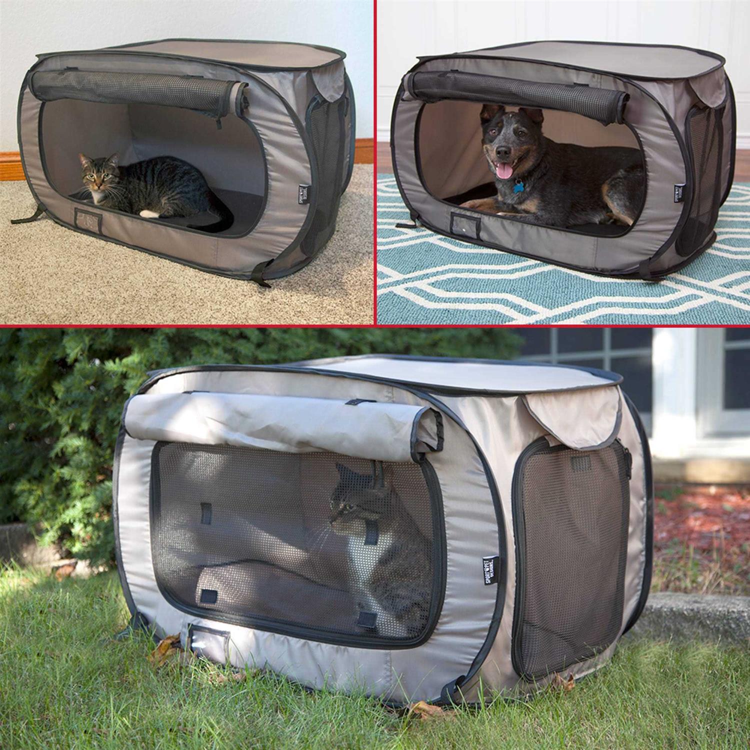Sportpet Designs Large Pop Open Kennel - Nail Gallerys