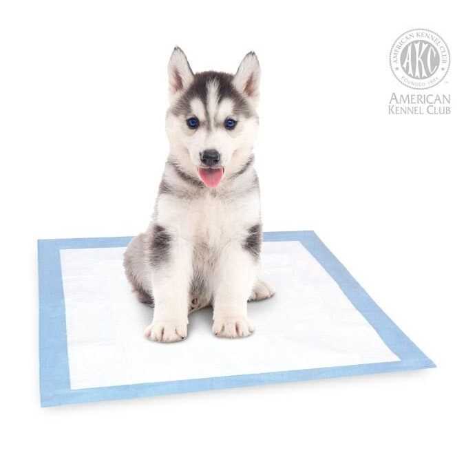American Kennel Club AKC Puppy Training Pads - Nail Gallerys