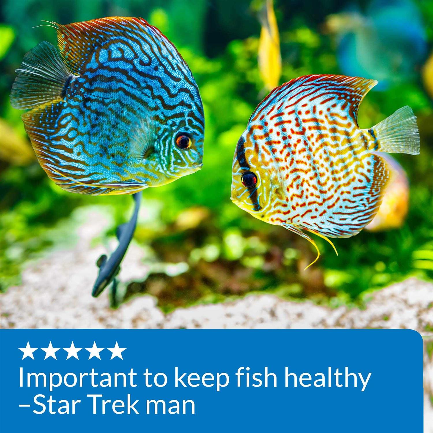 API pH Up - Nail Gallerys