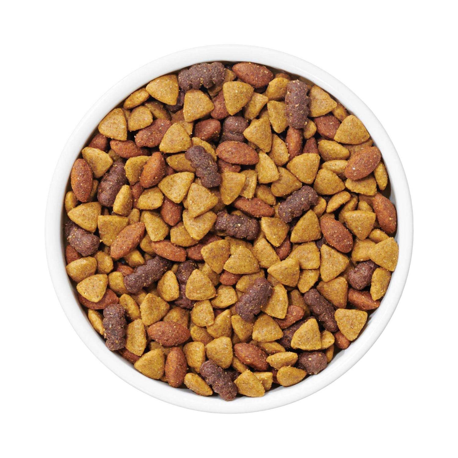 Dog Chow Purina Complete Adult Dry Dog Food - Nail Gallerys