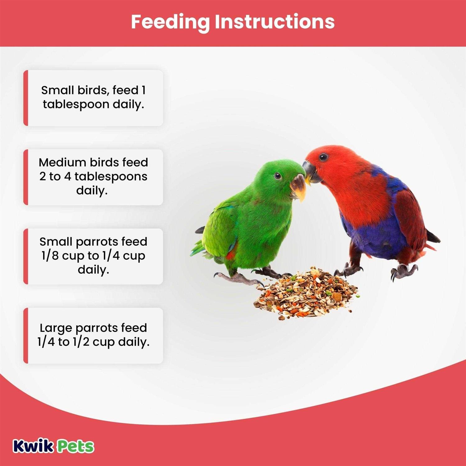 Volkman Avian Science Super Eclectus-4lb - Nail Gallerys