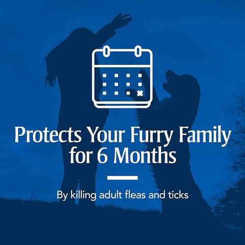 PetArmor Flea & Tick Collar for Dogs - Nail Gallerys