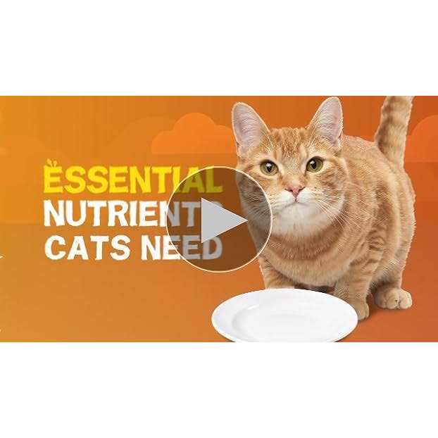 Purina Friskies Extra Gravy Pate Wet Cat Food Gravy - Nail Gallerys