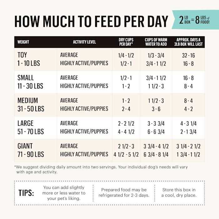 The Honest Kitchen Dehydrated Grain Free Beef Dog Food - Nail Gallerys