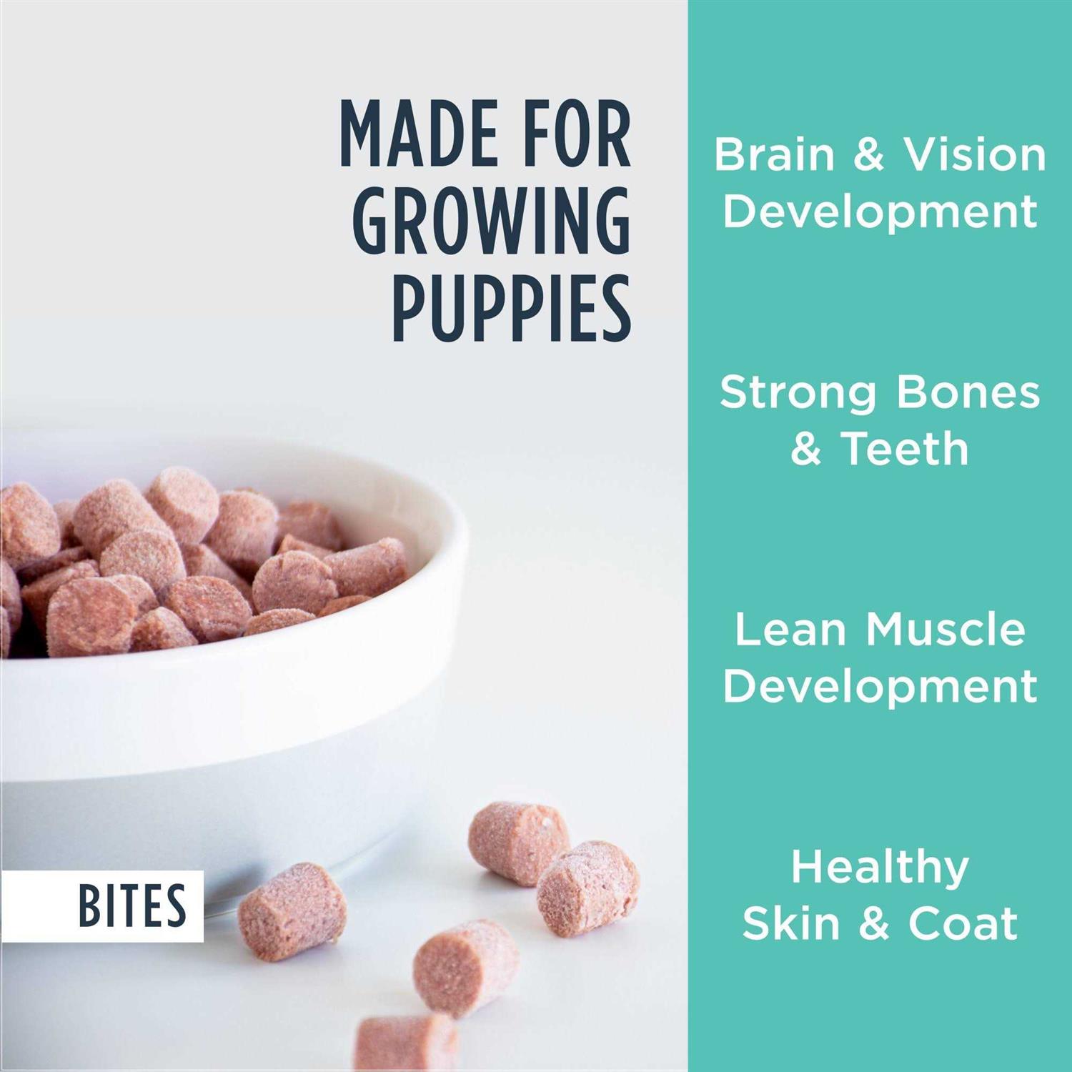 Instinct Raw Frozen Puppy Bites Cage-Free Chicken Recipe Dog Food - Nail Gallerys