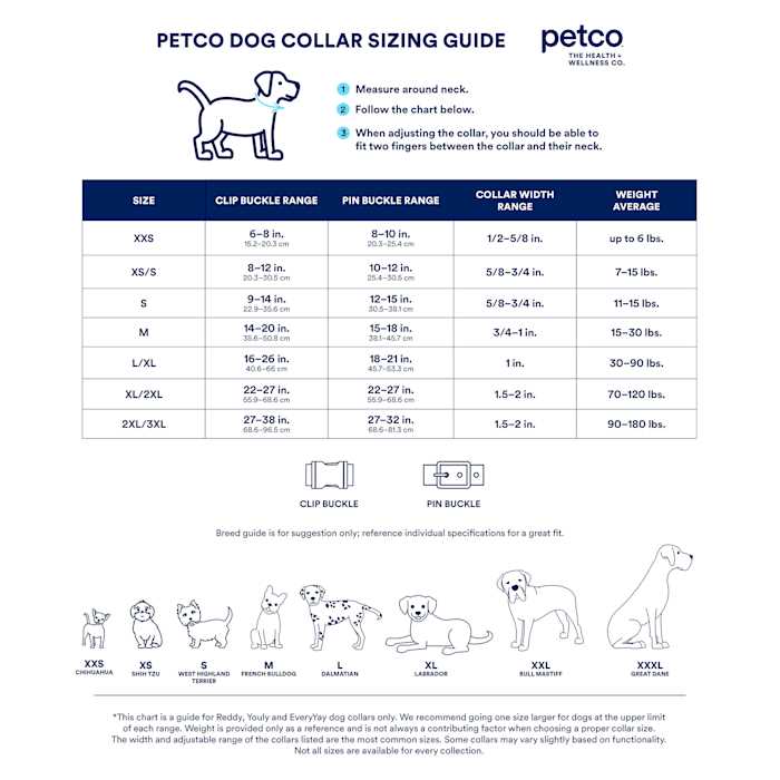 YOULY The Extrovert LED Pet Safety Necklace - Nail Gallerys