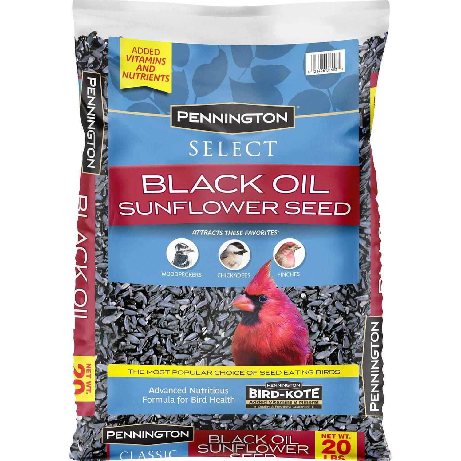 Pennington Select Black Oil Sunflower Seed Wild Bird Feed - Nail Gallerys