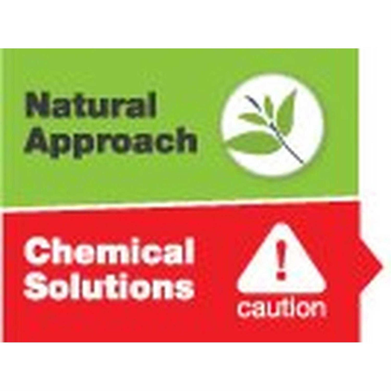 Only Natural Pet All in One Flea Remedy - Nail Gallerys