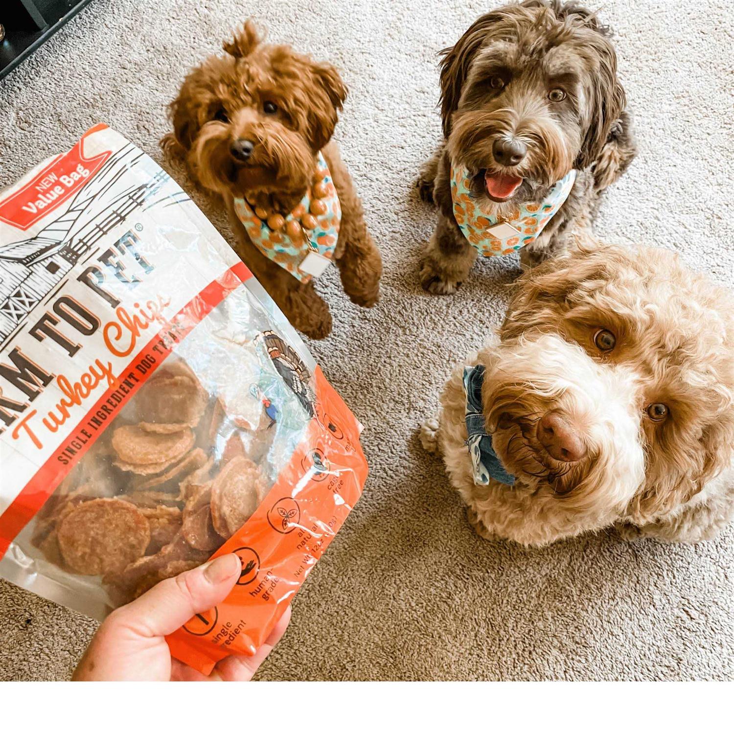 Farm to Pet Turkey Chips Dog Treats - Nail Gallerys