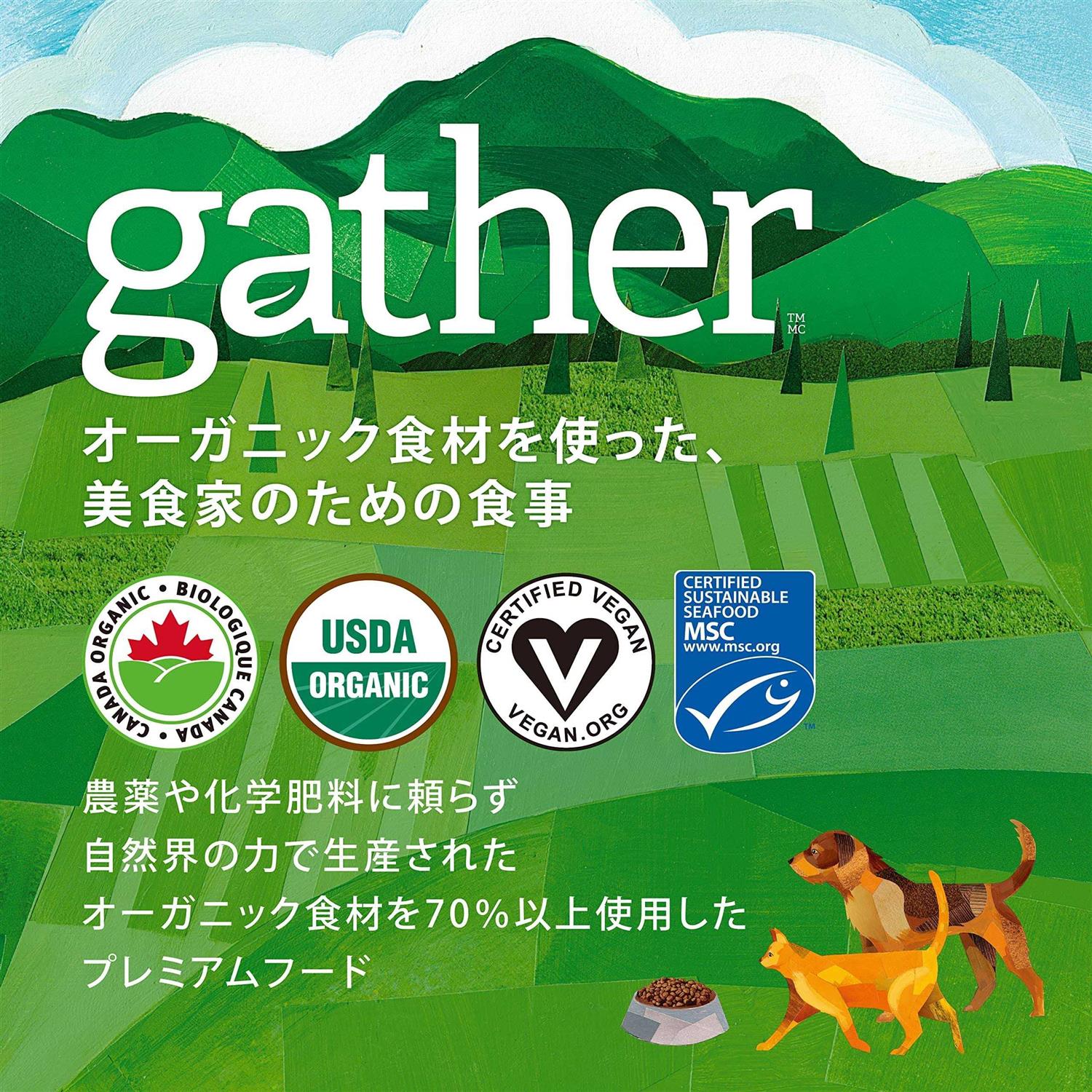 Petcurean Gather Free Acres Organic Free-Run Chicken Dry Cat Food - Nail Gallerys