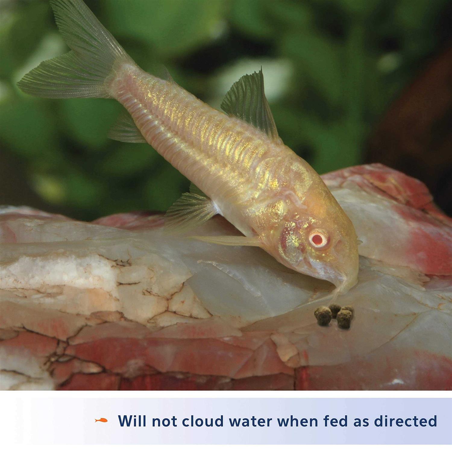 Aqueon Shrimp Pellets - Nail Gallerys