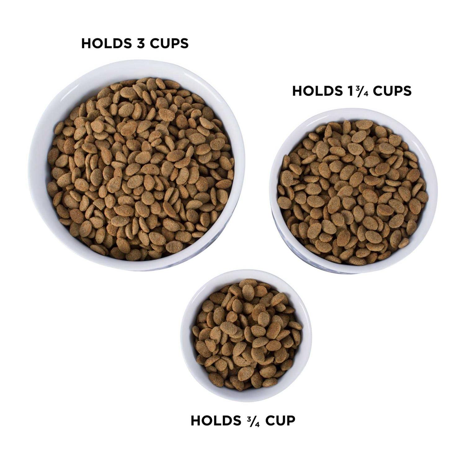 Bone Dry Paw Patch Pet Bowl - Nail Gallerys