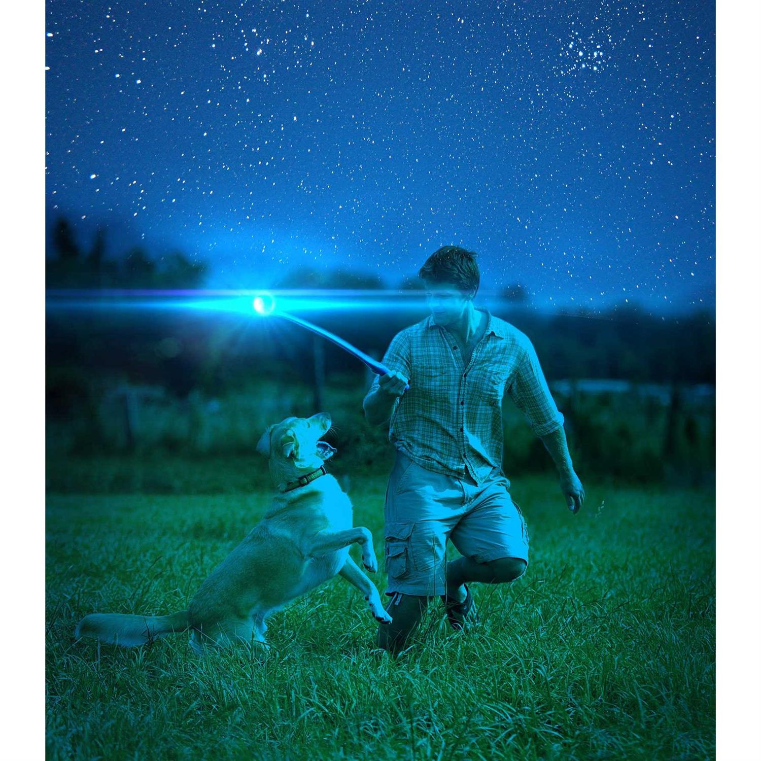 Chuckit Light Up Fetch Ball for Dogs - Nail Gallerys