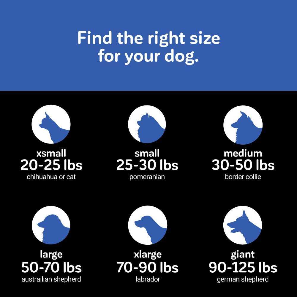 Precision Pet SnooZZy Pet Bed Original Bumper Bed - Nail Gallerys