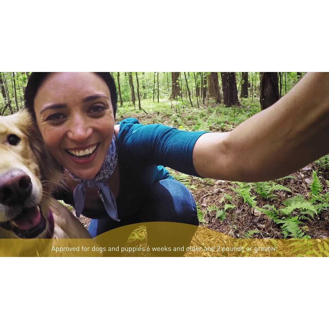 Interceptor Plus for Dogs - Nail Gallerys