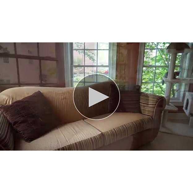 Armarkat B6802 Classic Real Wood Cat Tree In Ivory - Nail Gallerys