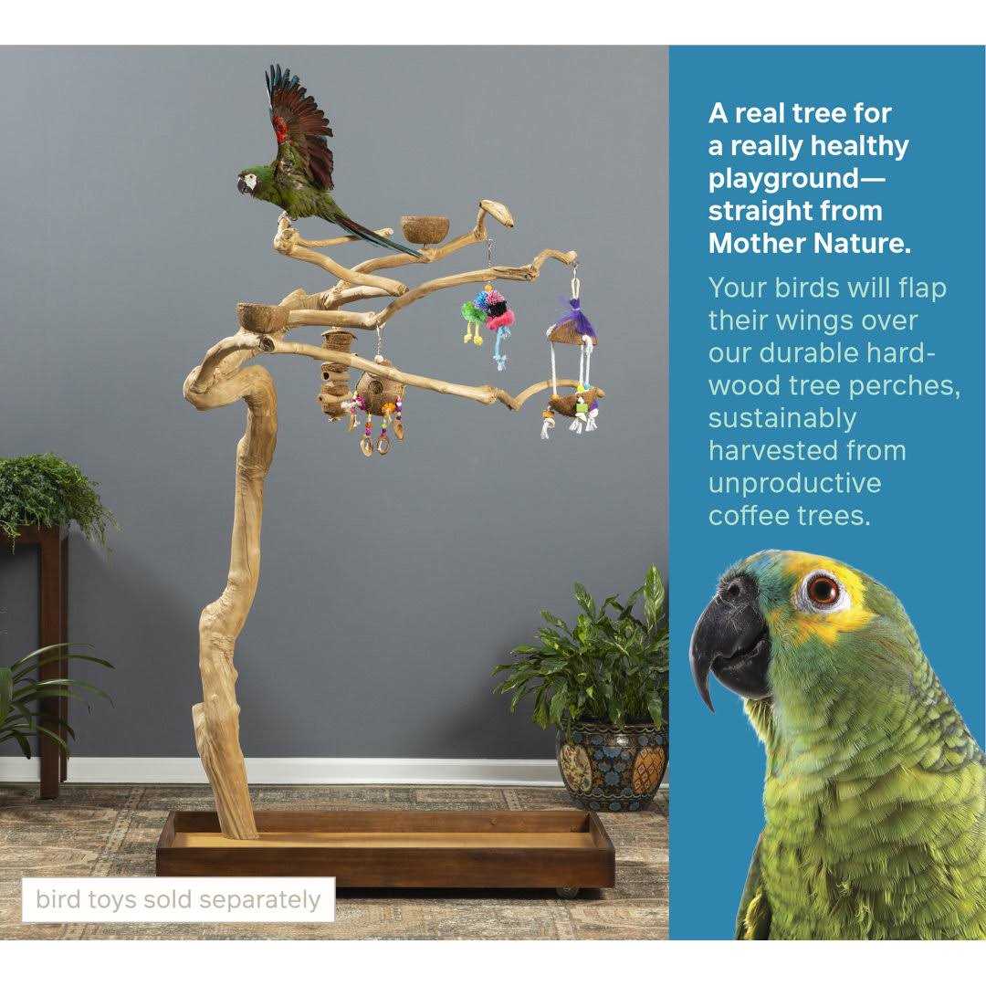 Prevue Pet Products Coffeawood Tree Style #2 Floor Stand - Nail Gallerys