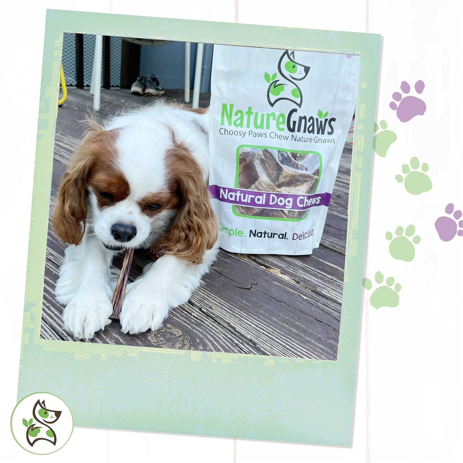 Nature Gnaws Bully Sticks for Dogs Premium Natural Beef Bones - Nail Gallerys