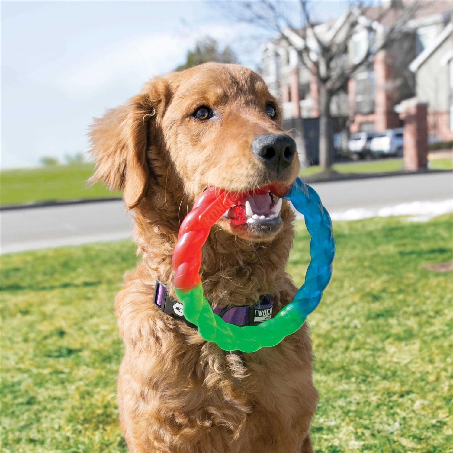 KONG Twistz Ball Dog Toy - Nail Gallerys