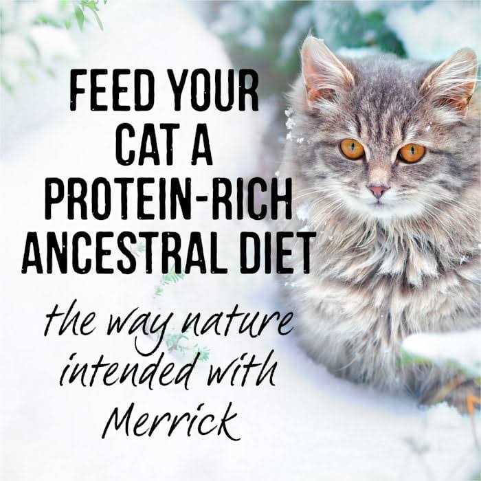 Merrick Backcountry Cat Food Real Cuts - Nail Gallerys