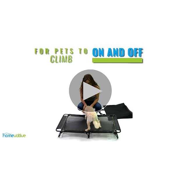 Homevative Folding Elevated Pet Bed No Assembly - Nail Gallerys