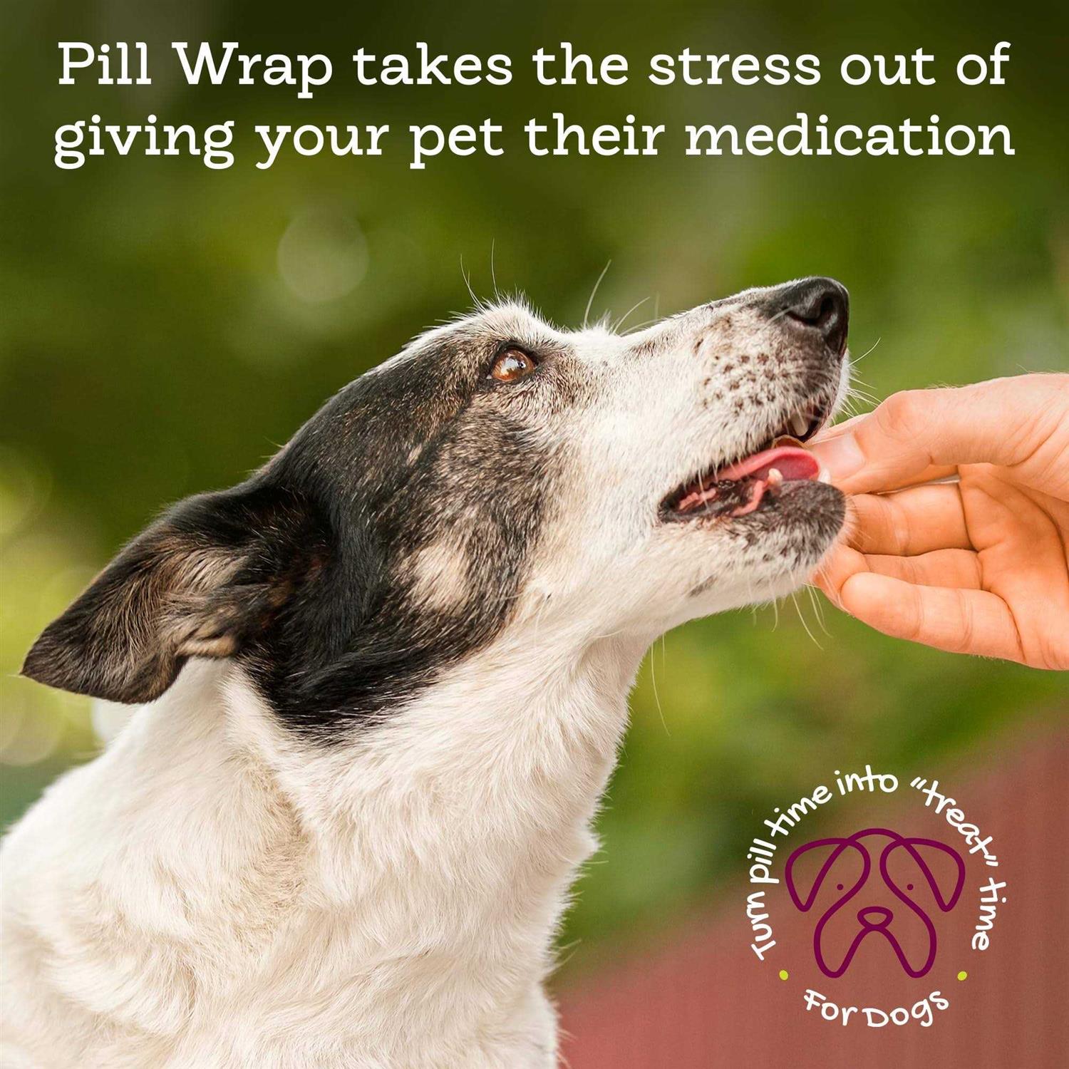 Riley’s Pill Wrap for Dogs Delicious Peanut Butter Flavored Pill Paste for Dogs - Nail Gallerys