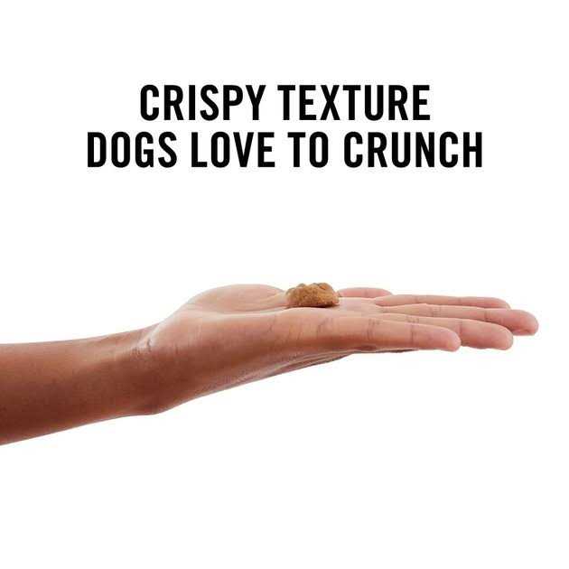 American Journey Peanut Butter Recipe Grain-Free Oven Baked Crunchy Biscuit Dog Treats - Nail Gallerys