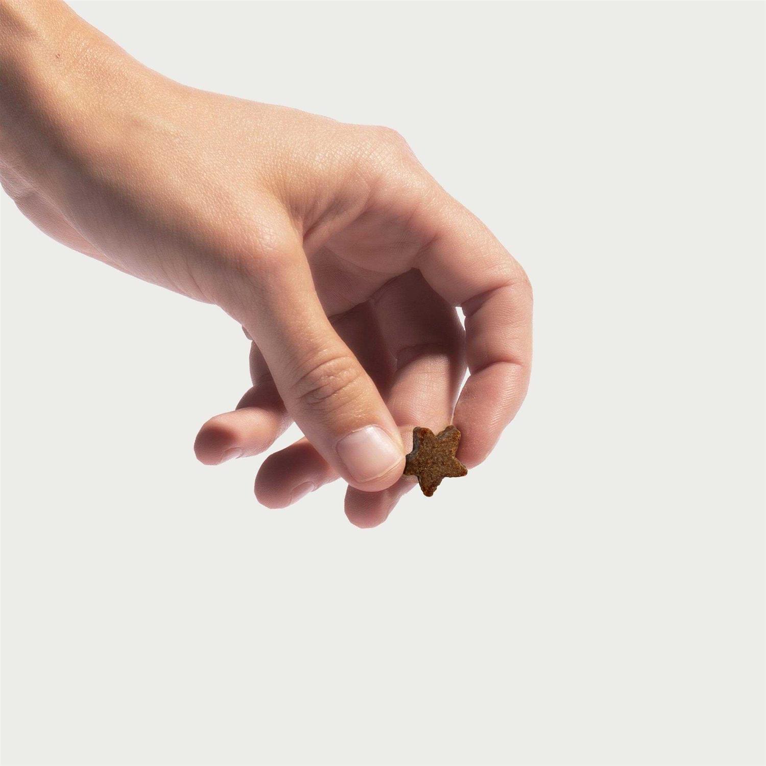 Jinx Beef Tiny Treats Natural Dog Training Treats - Nail Gallerys