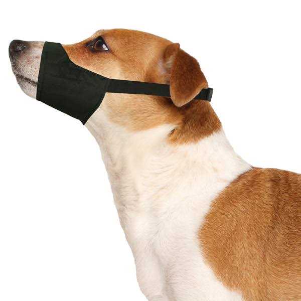Four Paws Muzzle Quick Fit - Nail Gallerys