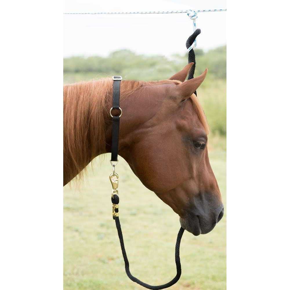 Mustang Neck Collar - Nail Gallerys