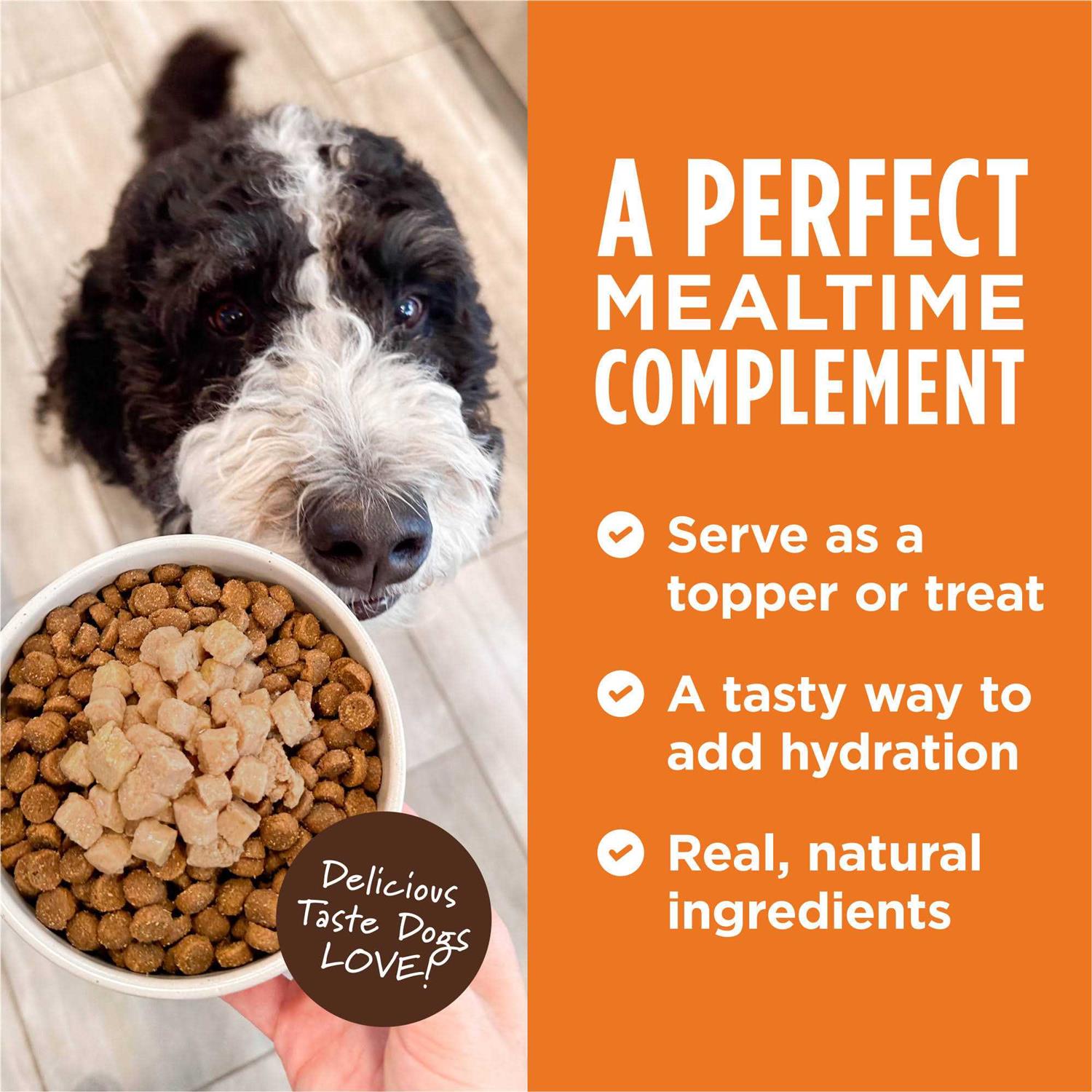 Instinct Healthy Cravings Grain Free Real Recipe Wet Dog Food Topper - Nail Gallerys