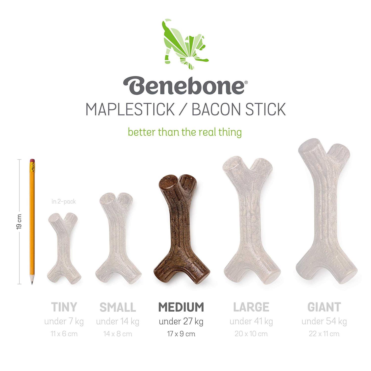 Benebone Dog Chew - Nail Gallerys