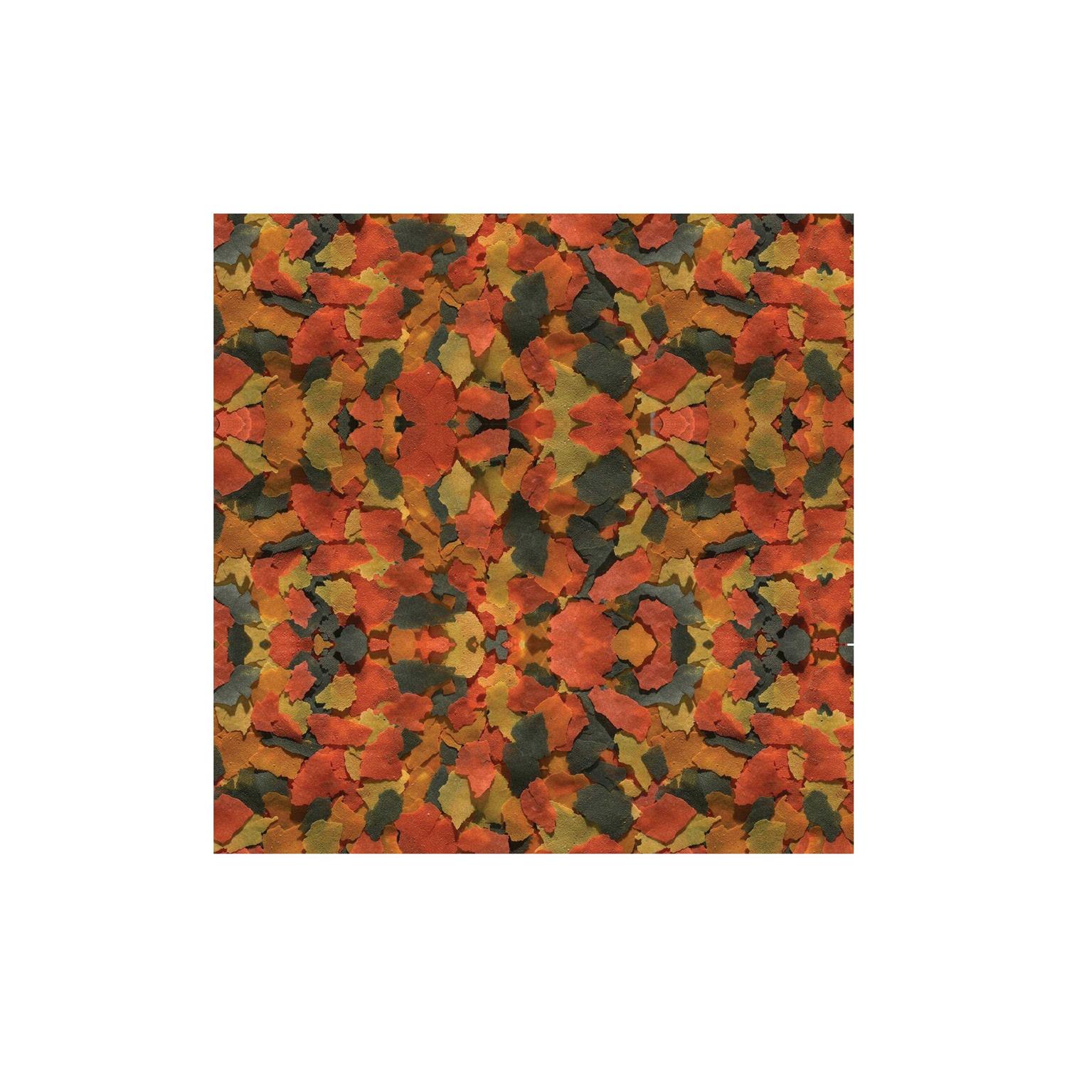 TetraColor Plus Tropical Fish Food Flakes - Nail Gallerys