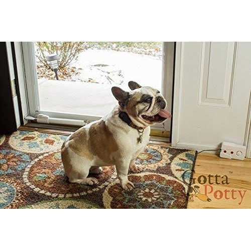 SAFETY VISION The Source Direct Wireless Dog Potty Training System - Nail Gallerys