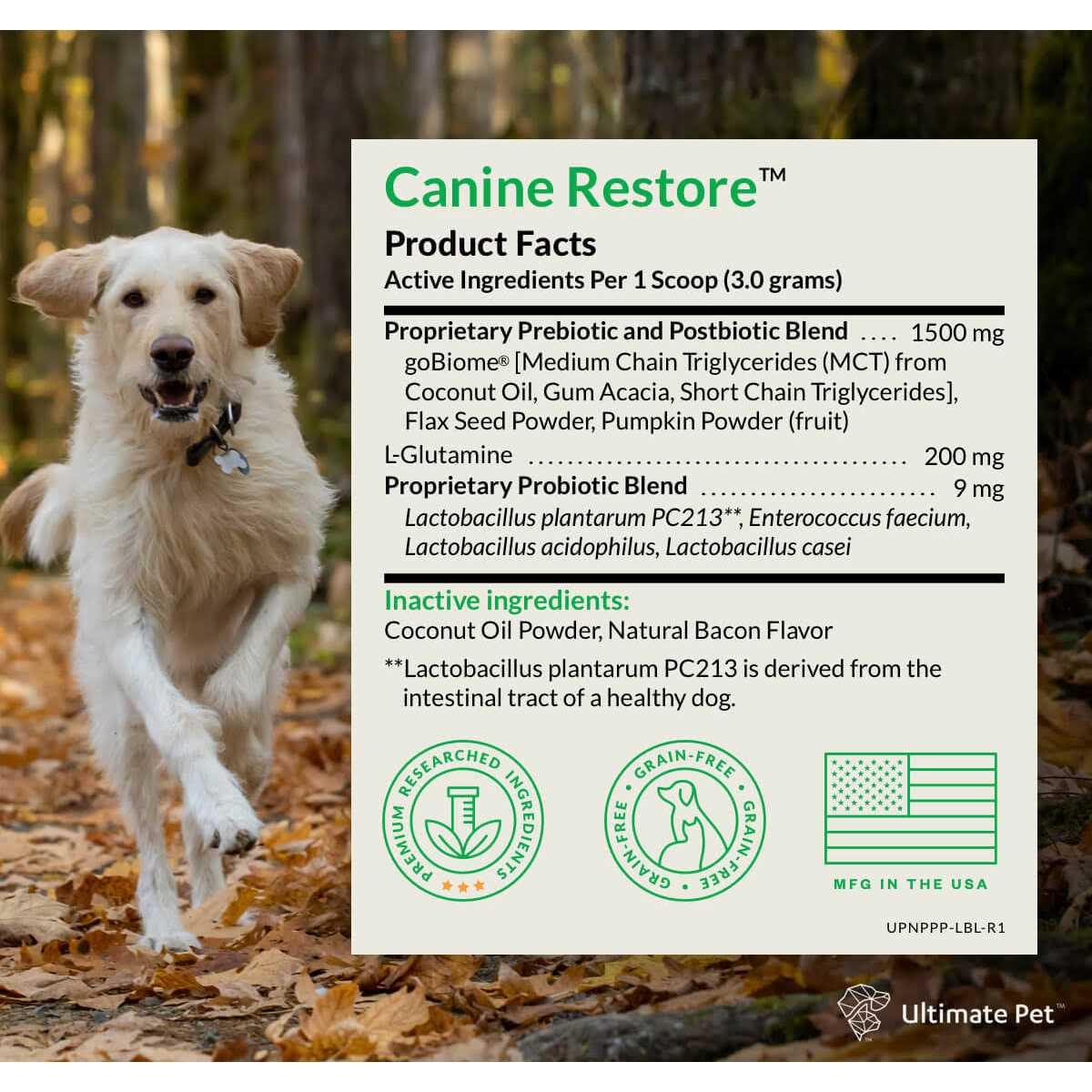Ultimate Pet Nutrition Canine Restore Pre, Pro, and Postbiotic Digestive Support Powder for Dogs 3.17 oz - Nail Gallerys