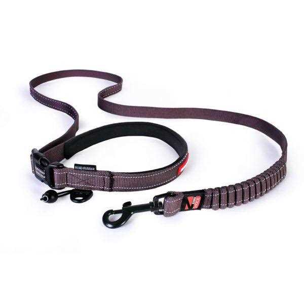 EzyDog Road Runner Leash - Nail Gallerys