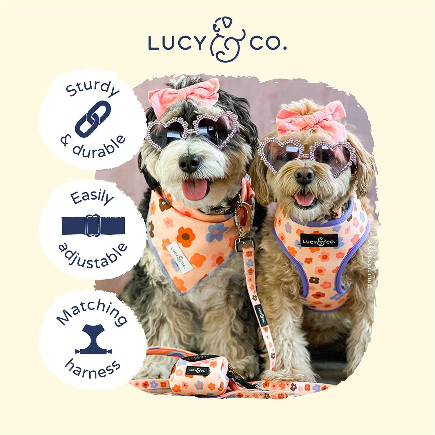 Lucy & Co. Have A Nice Day Dog Collar – Durable Lightweight Designer Collar for Pets – Adjustable Metal Safety Buckel – Lime Green Blue Checker – - Nail Gallerys