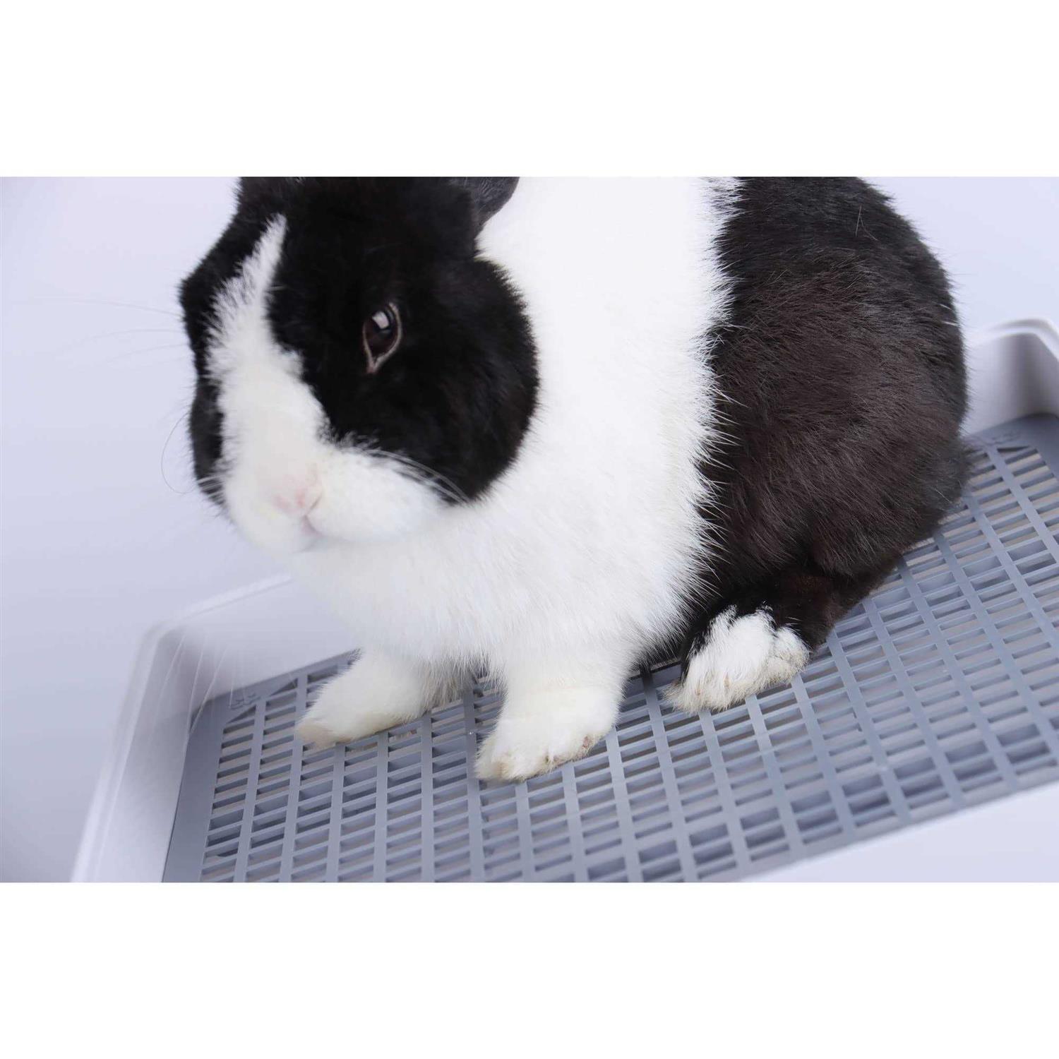 RUBYHOME Super Large Rabbit Litter Box with Grate Rabbit Potty Box Litter Pan for Cage - Nail Gallerys