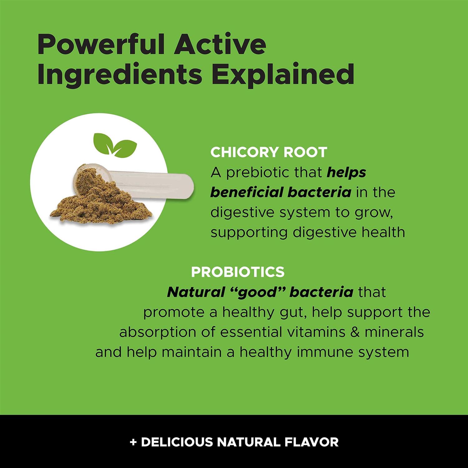 Pet Honesty Digestive Probiotics for Cats - Nail Gallerys