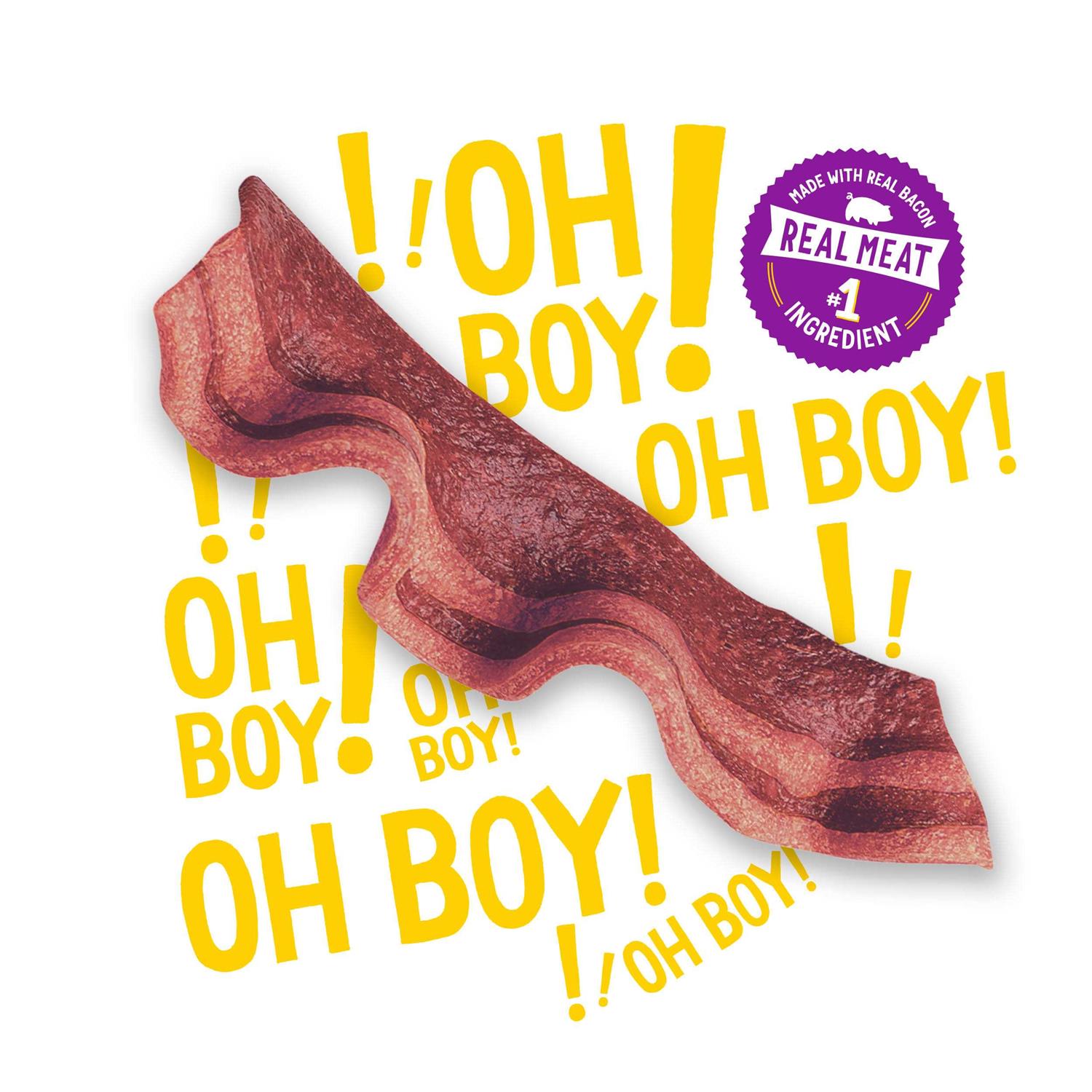 Purina Beggin Strips Bacon & Beef Dog Treats - Nail Gallerys