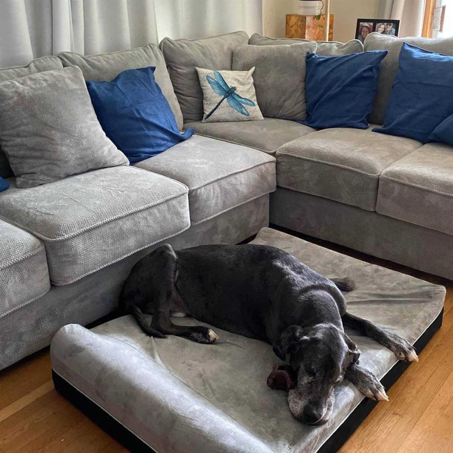 Laifug Large Dog Bed Orthopedic Memory Foam - Nail Gallerys