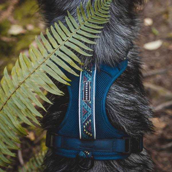 Wilderdog Harness - Nail Gallerys