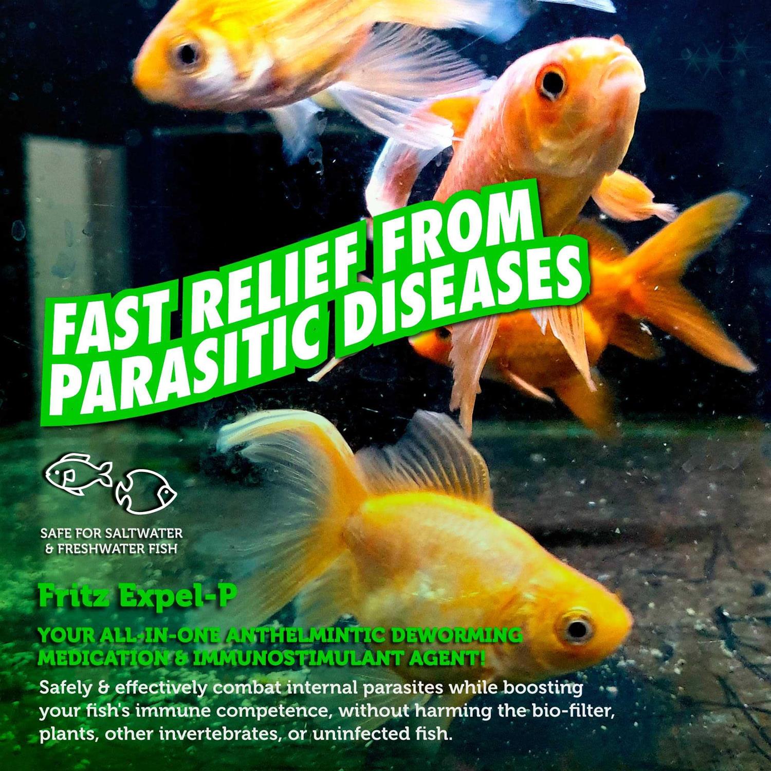 Fritz Aquatics Expel P Parasitic Disease Treatment - Nail Gallerys