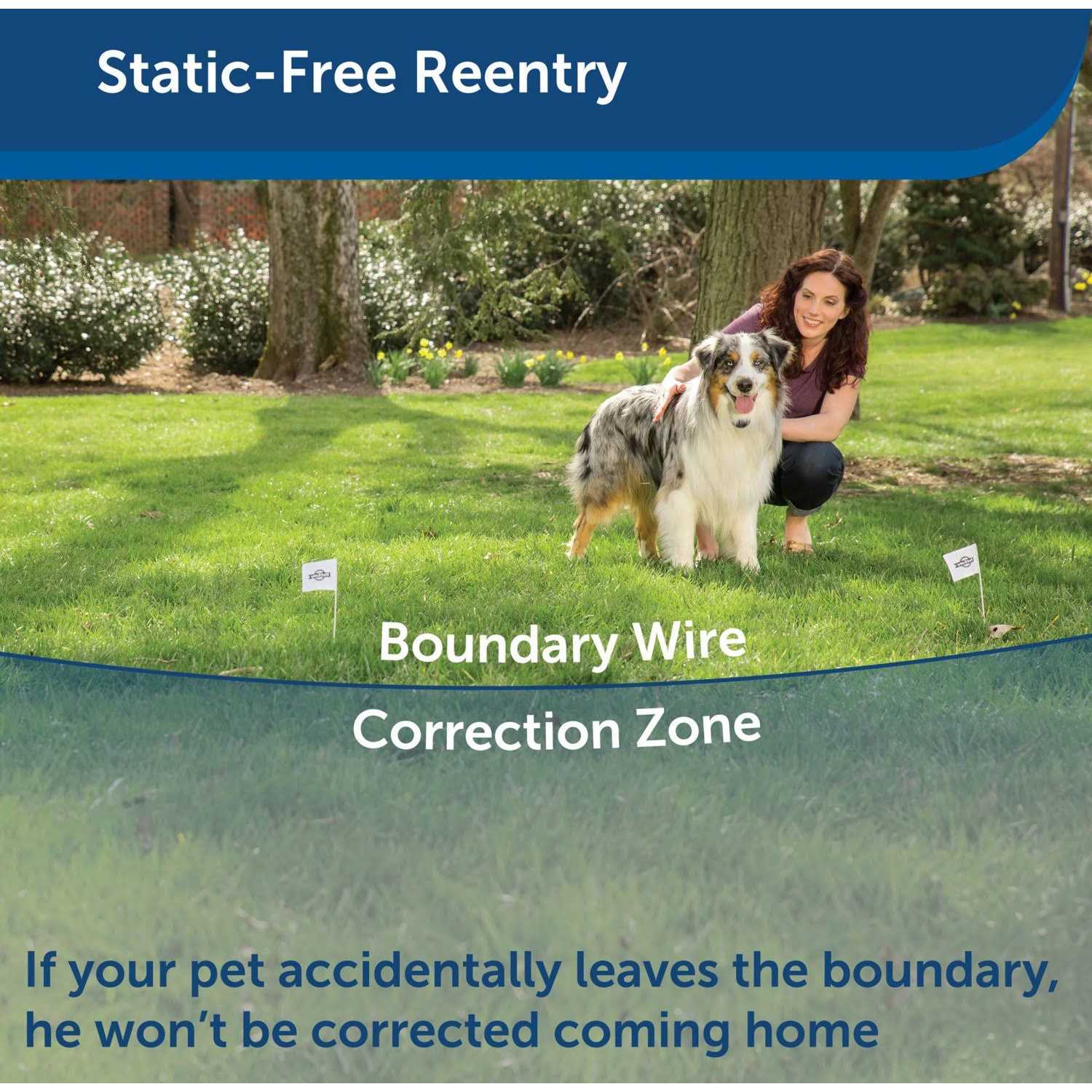 PetSafe YardMax Rechargeable In-Ground Fence - Nail Gallerys