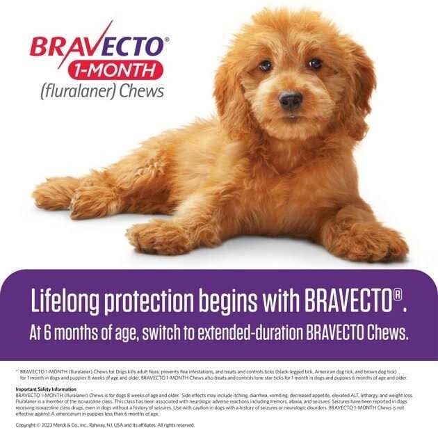 Bravecto 1-Month Chews for Dogs 22-44 lbs - Nail Gallerys