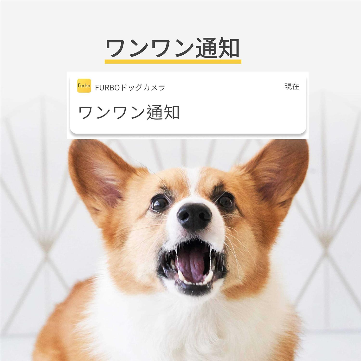 Furbo 360° Dog Camera Rotating 360° View Wide-Angle Pet Camera with Treat Tossing - Nail Gallerys