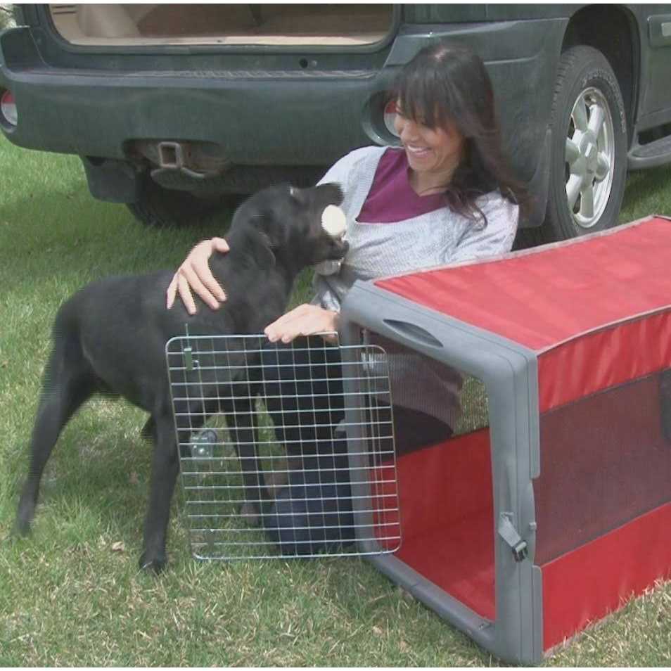 SportPet Designs Sportpet Pop up Travel Crate - Nail Gallerys