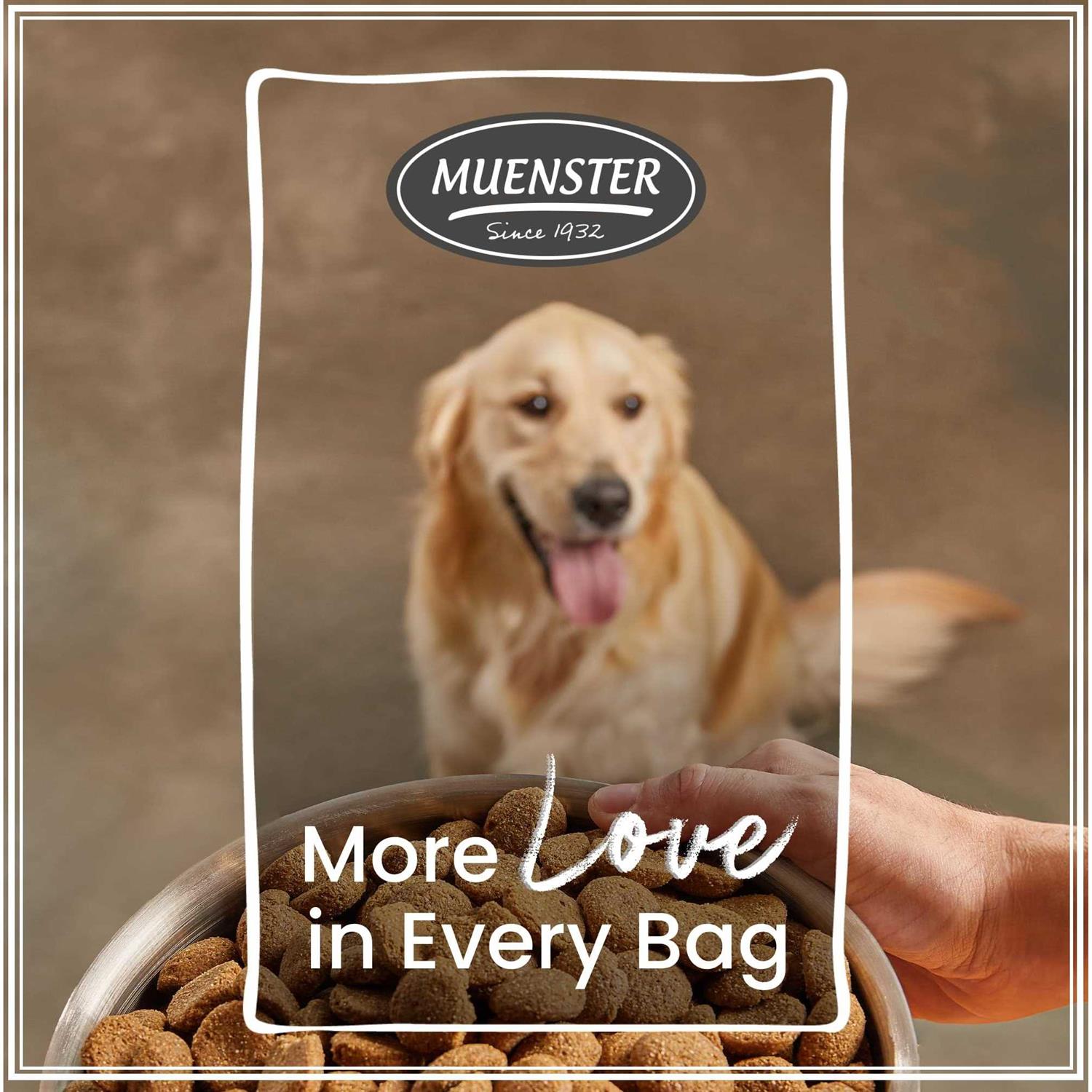 Muenster Ancient Grains with Chicken Dog Food - Nail Gallerys
